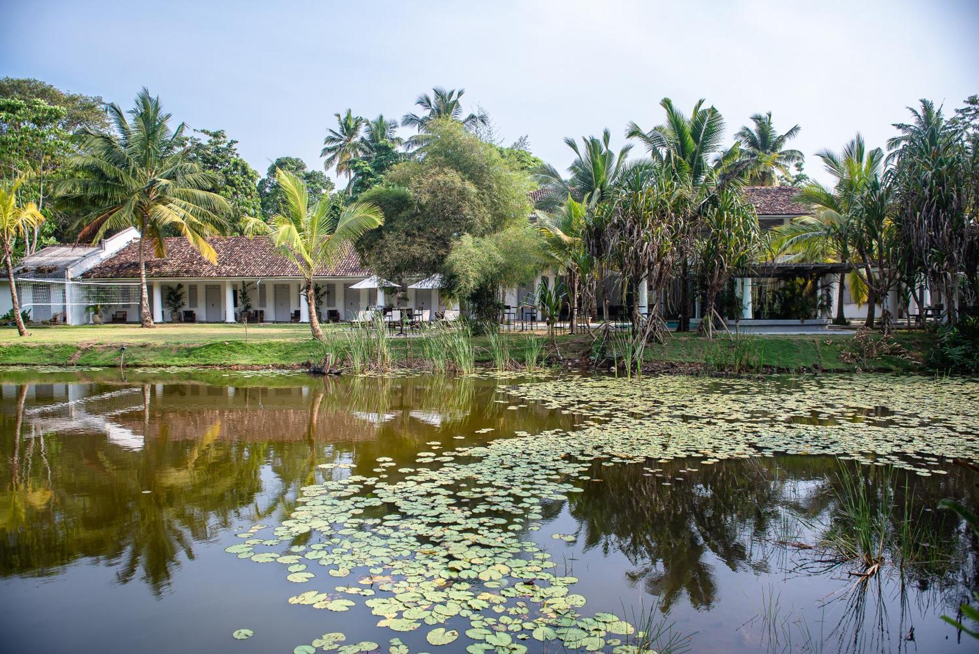 Good Story At Nirbana Island Bed & Breakfast Ahangama Exterior foto