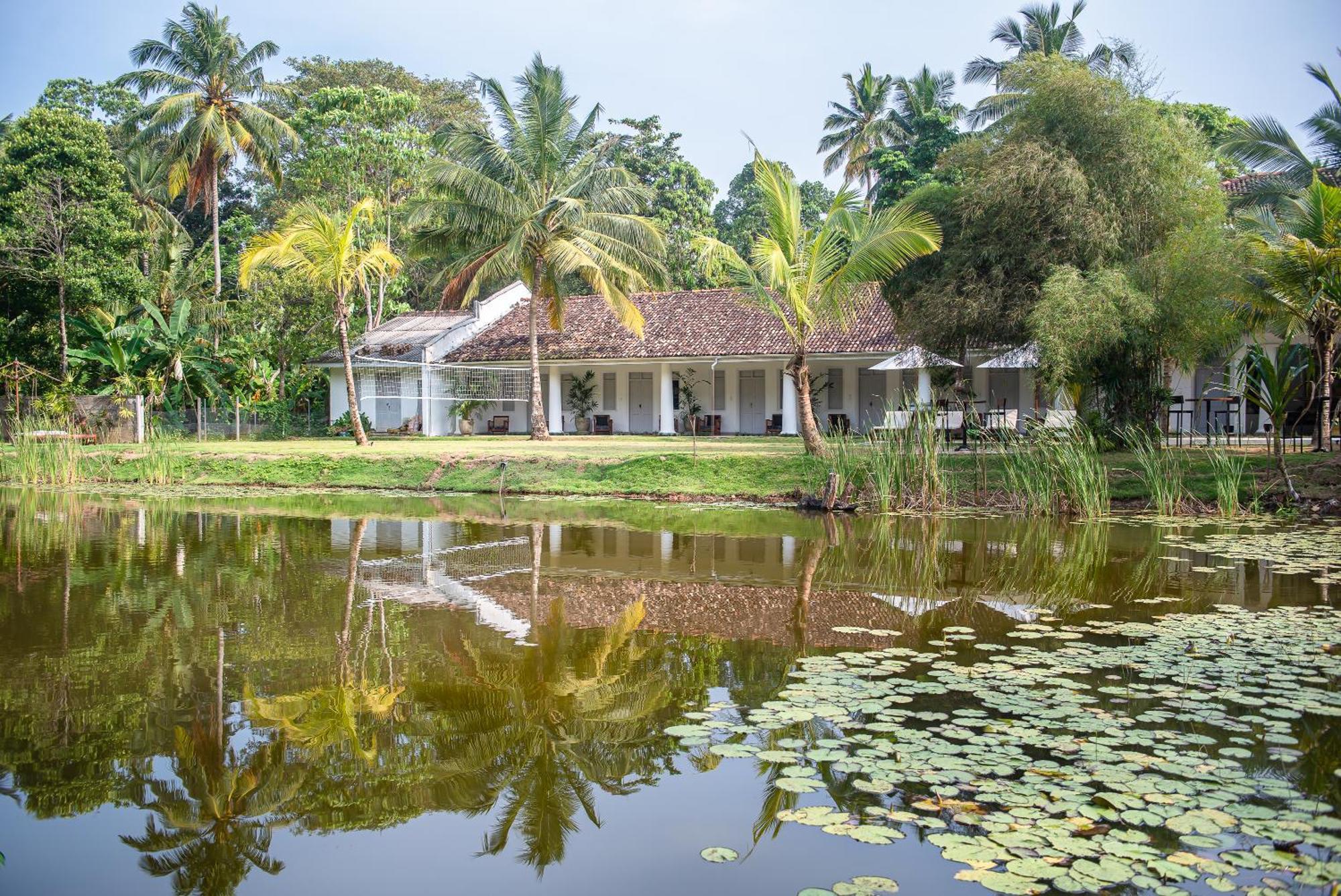 Good Story At Nirbana Island Bed & Breakfast Ahangama Exterior foto
